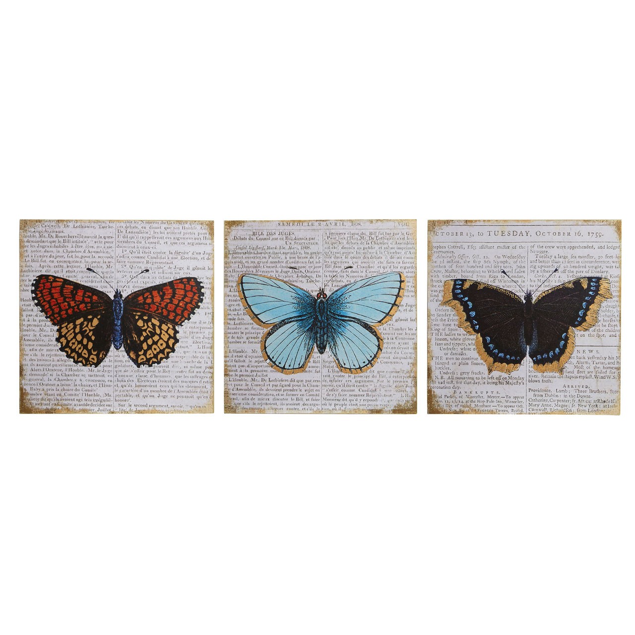 Prime Furnishing Butterfly Wall Plaques - Multi-Colour - Set of