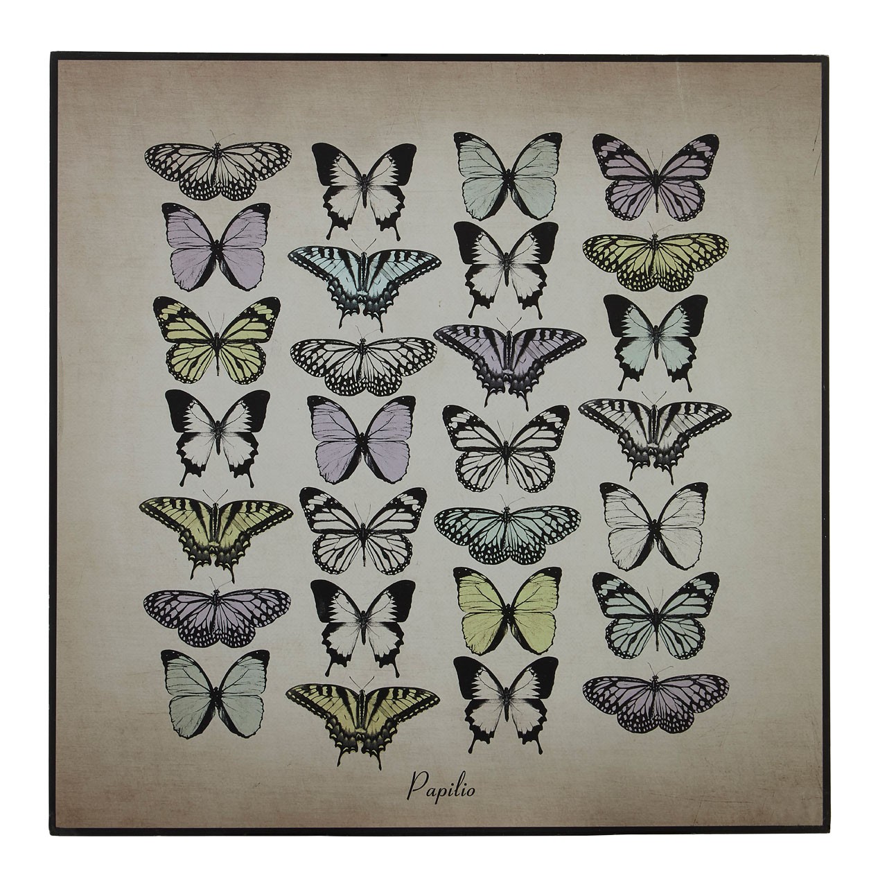 Prime Furnishing Papilio Butterfly Wall Plaque - Multi-Colour